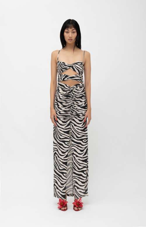 RAISHA ZEBRA DRESS