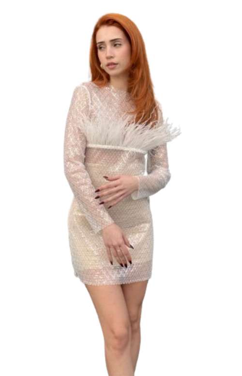 MINI SHEER DRESS WITH FEATHERS