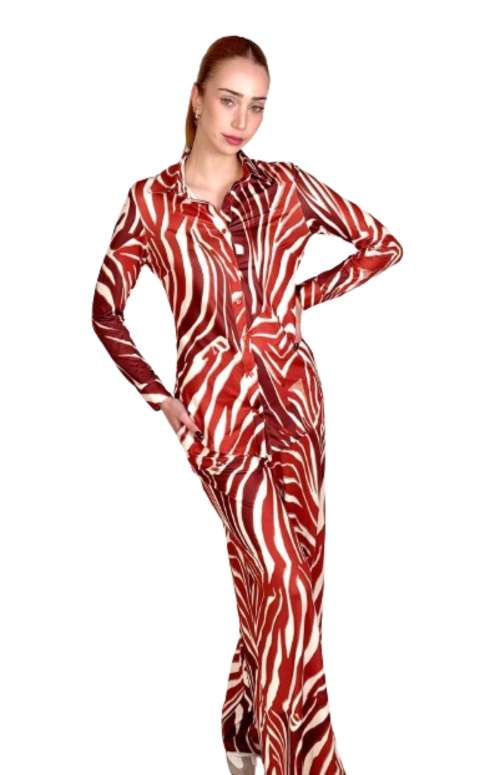 ZEBRA PRINT CO-ORD